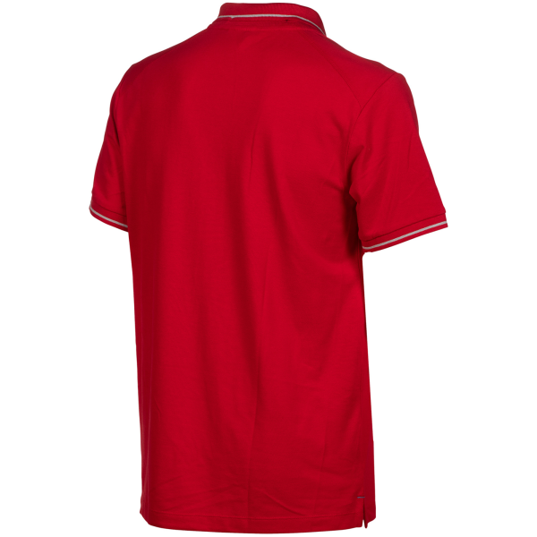 Arena Team Poloshirt Solid Cotton L red Unisex Produktbild 1