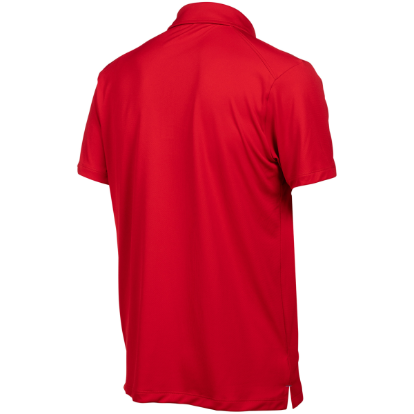 Arena Team Poloshirt Solid L red Unisex Produktbild 1