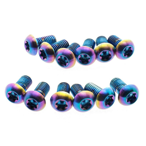 SRAM Rotor Bolt Kit T25 Titanium Qty 12 rainbow