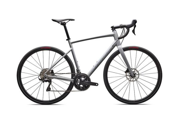 Specialized ALLEZ E5 COMP 61 DOLOMITE METALLIC/DOVE GREY