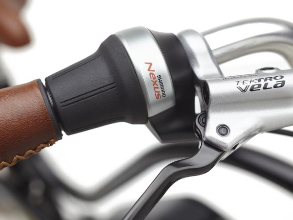 Electra Townie Go! 5i Step Thru EU 26 Ebony Produktbild 7