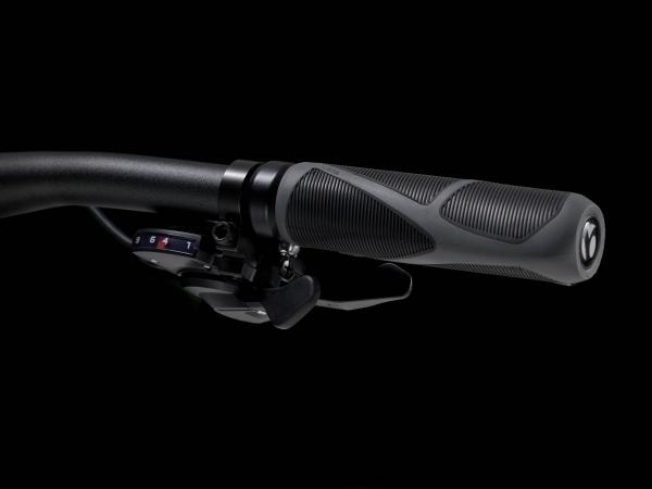 Trek Dual Sport 2 SO L Keswick Produktbild 3