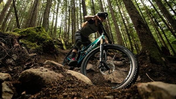 Trek FUEL EXe 9.7 SLX/XT EU S Deep Smoke Produktbild 16