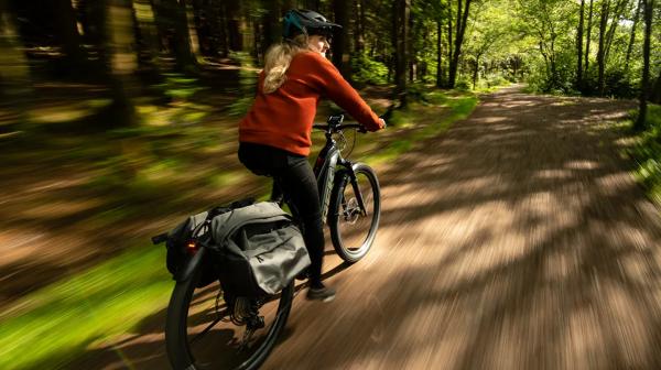 Trek Powerfly+ 8 EU XL 29 Crimson/Dark Carmine Produktbild 5