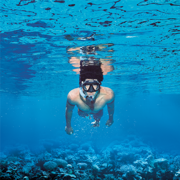 Arena Premium Snorkeling Set one size black/clear/black Unisex Produktbild 1