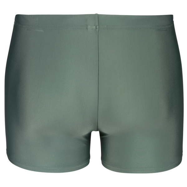Arena M Arena Basic Swim Short D 9 sage Herren Produktbild 2