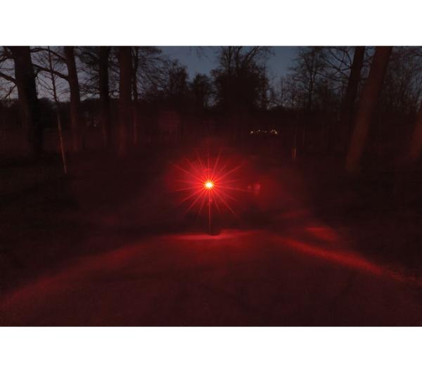 AXA R&uuml;cklicht Juno E-Bike Signal 80 Produktbild 4