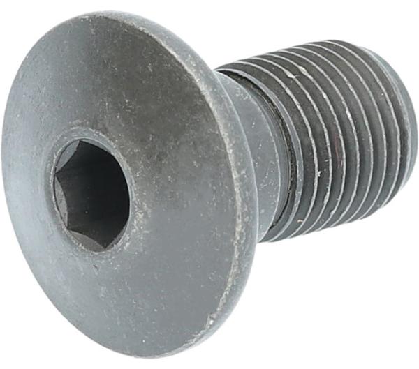 SHIMANO Achse f&uuml;r Schaltwerkhalter RD-TZ500 Direktmontage